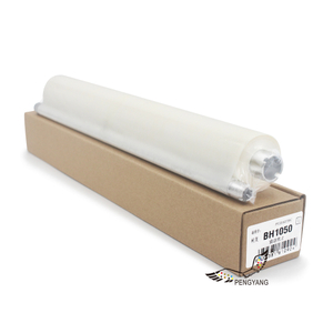 Rouleau de nettoyage BH1050